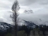 美国一景