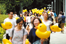 香港全面做好香港超级联系人角色